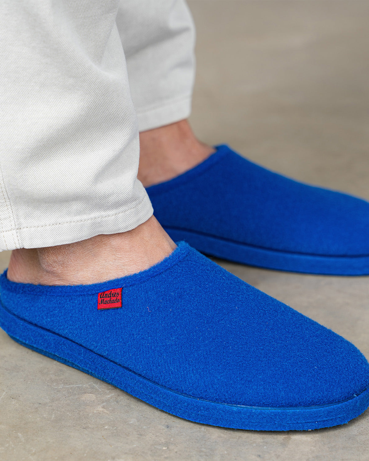 Blue alpine shoes