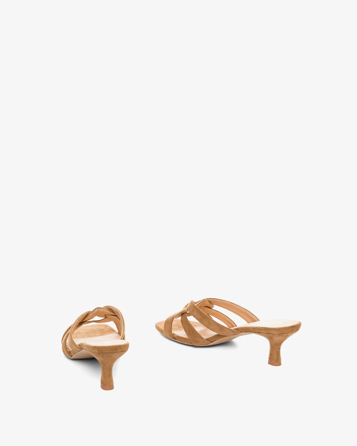 Mule en símil ante camel