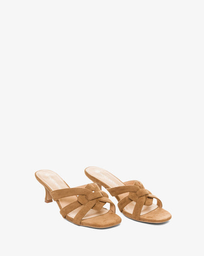 Mule en símil ante camel