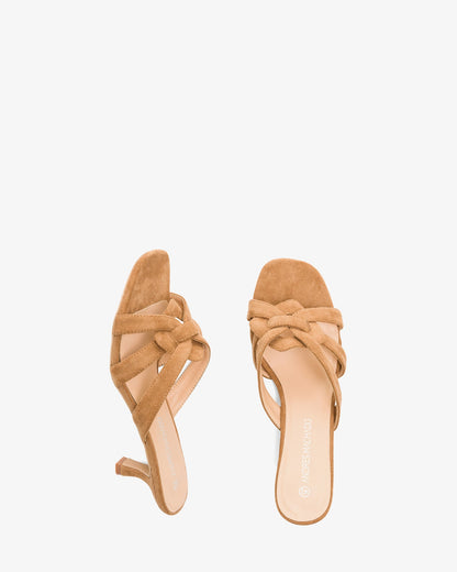 Mule en símil ante camel