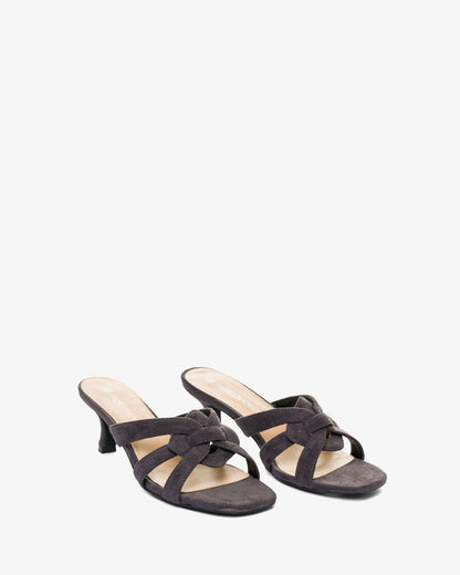 Mule en símil ante gris